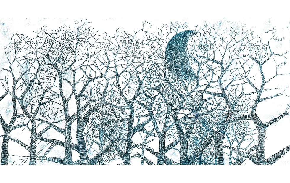 Illustration zu »In stiller Nacht« von Frank Walka