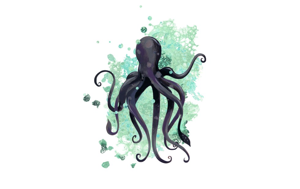 Illustration zu »Es freit ein wilder Wassermann« von Christoph Mett