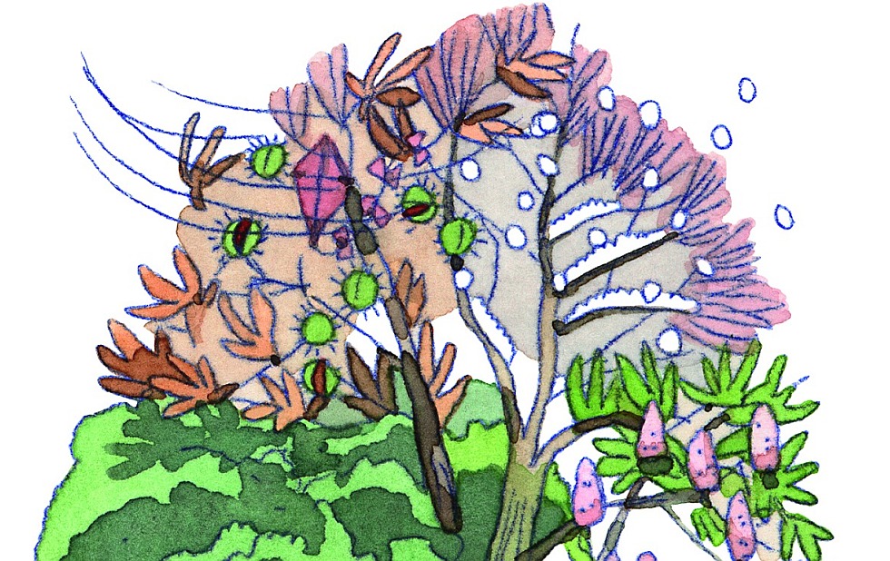Illustration zu »Wenn die wilden Winde stürmen« von Markus Lefrançois